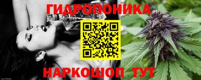 гашиш Тара