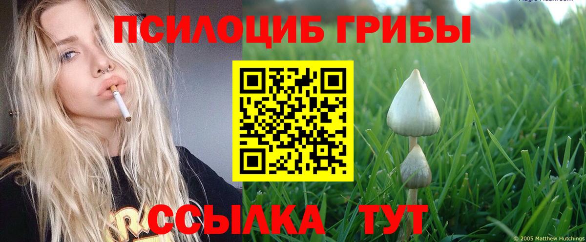 Псилоцибиновые грибы Magic Shrooms Новочебоксарск